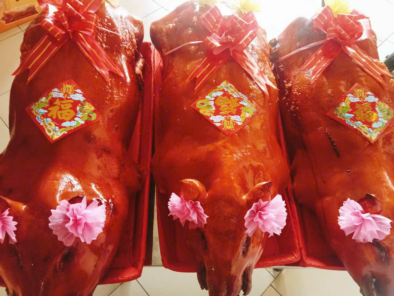 Heo quay cúng da giòn